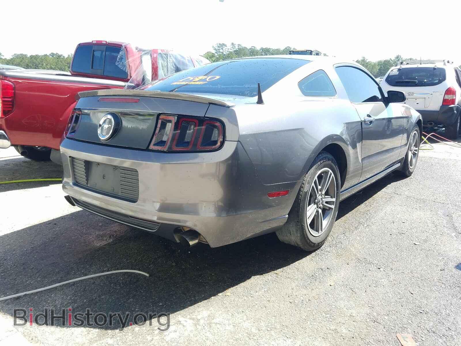 2013 FORD MUSTANG - VIN: 1ZVBP8AM9D5204340 - Фото 4