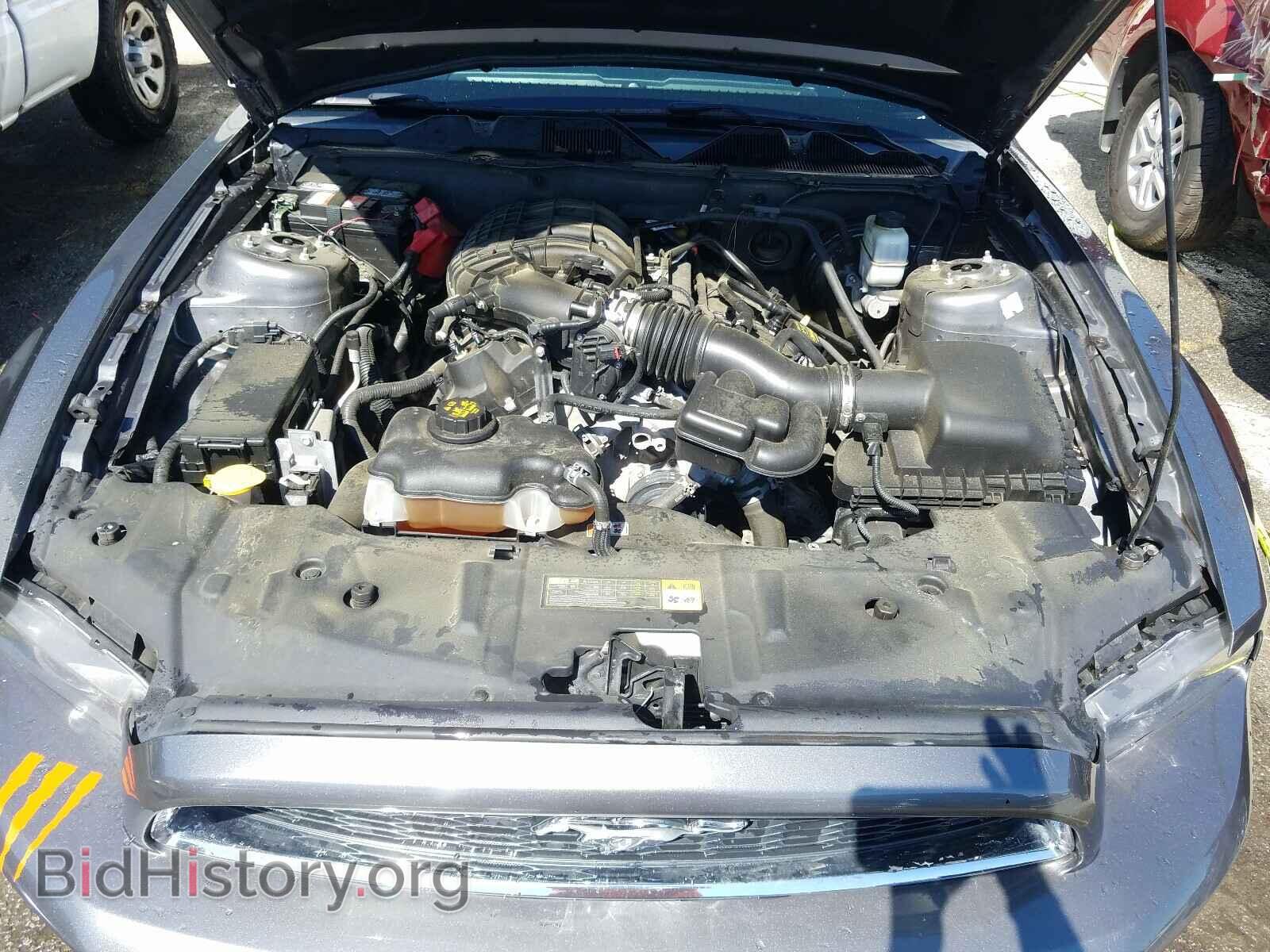 2013 FORD MUSTANG - VIN: 1ZVBP8AM9D5204340 - Фото 7