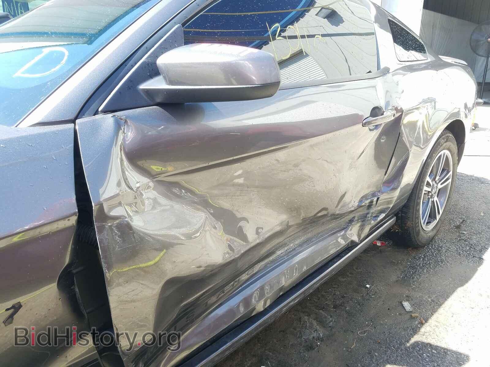 2013 FORD MUSTANG - VIN: 1ZVBP8AM9D5204340 - Фото 10