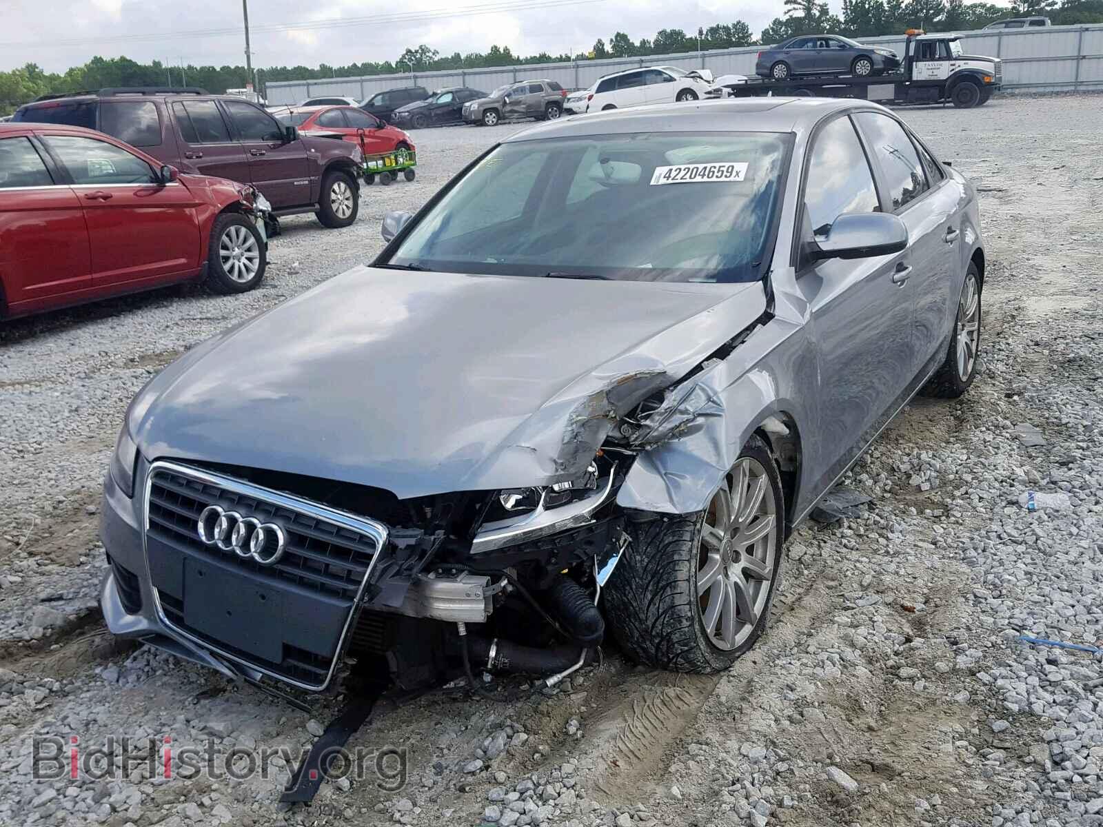 2010 AUDI A4 - VIN: WAUAFAFL2AN050135 - Фото 2