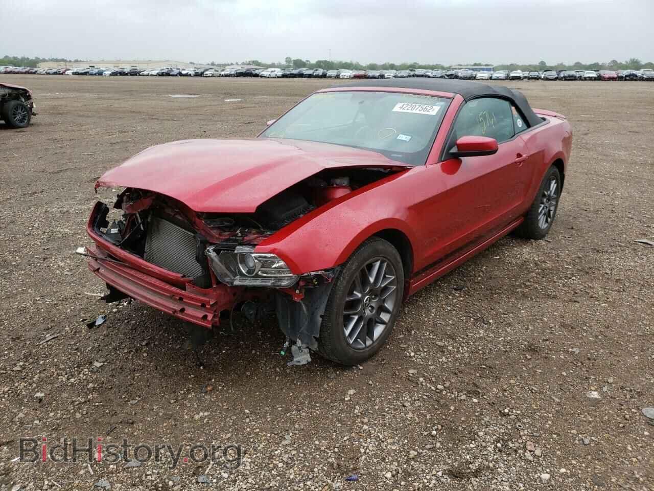 2013 FORD MUSTANG - VIN: 1ZVBP8EM6D5228881 - Фото 2