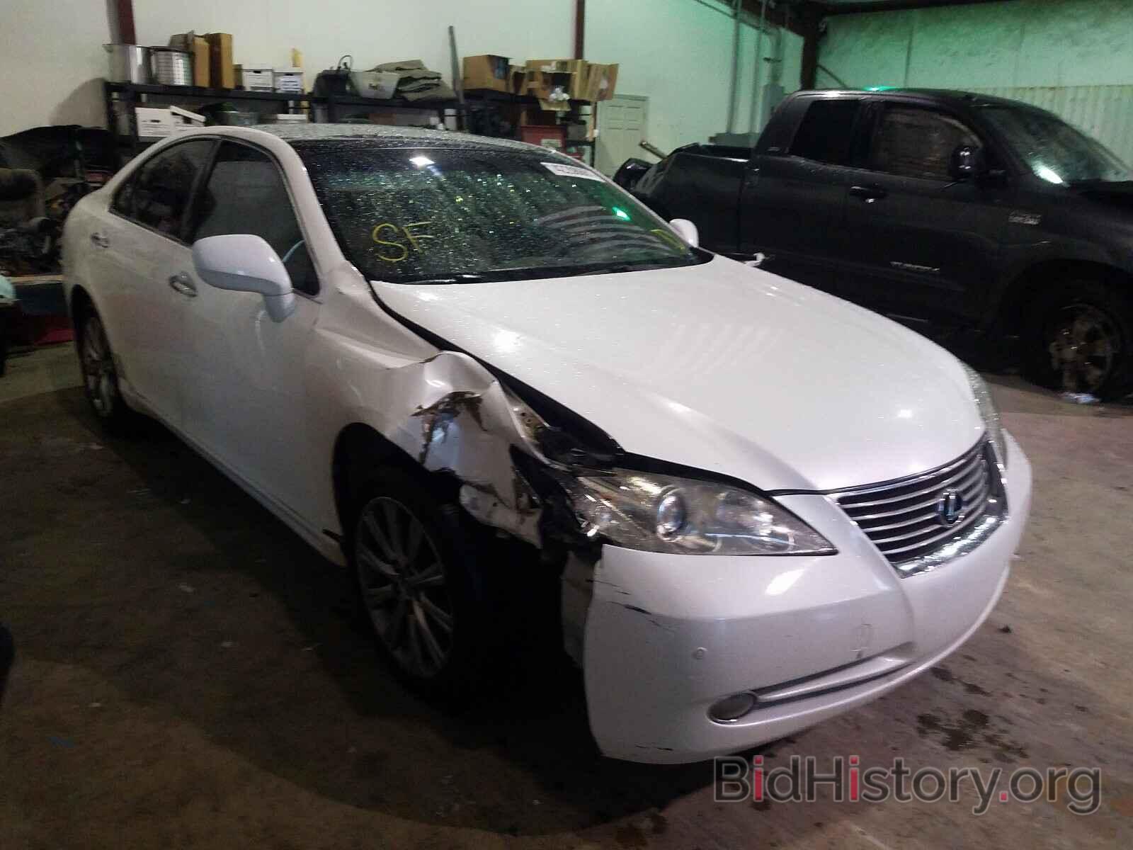 Photo JTHBJ46G572076800 - LEXUS ES350 2007