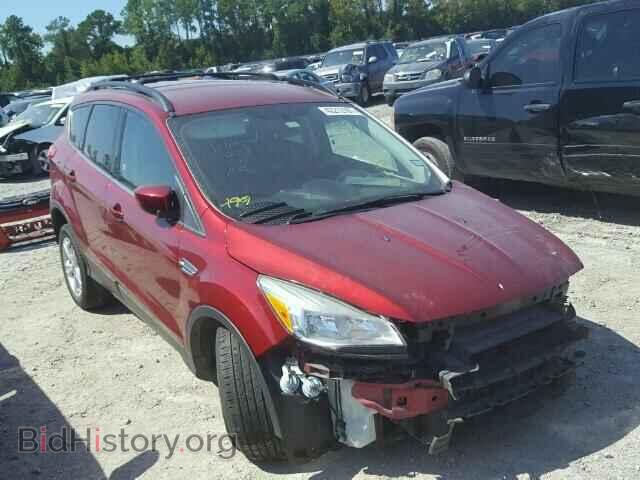 Photo 1FMCU0GX8DUC49371 - FORD ESCAPE 2013