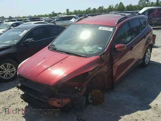 2013 FORD ESCAPE - VIN: 1FMCU0GX8DUC49371 - Photo 2