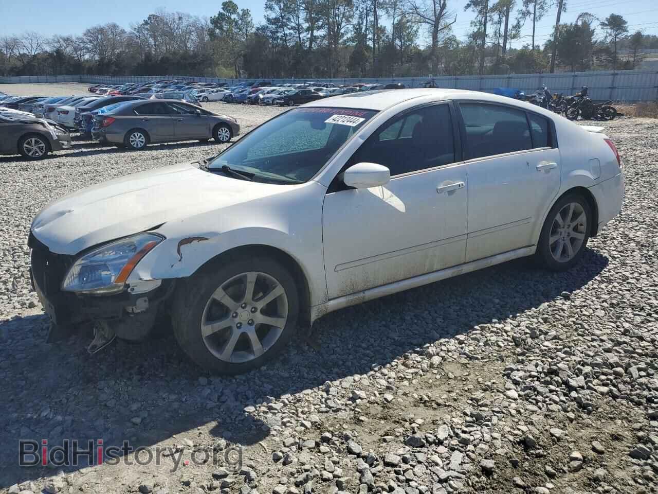 Фотография 1N4BA41E48C829144 - NISSAN MAXIMA 2008