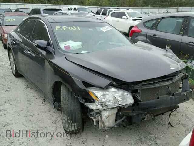 Фотография 1N4AA5AP3BC849749 - NISSAN MAXIMA 2011