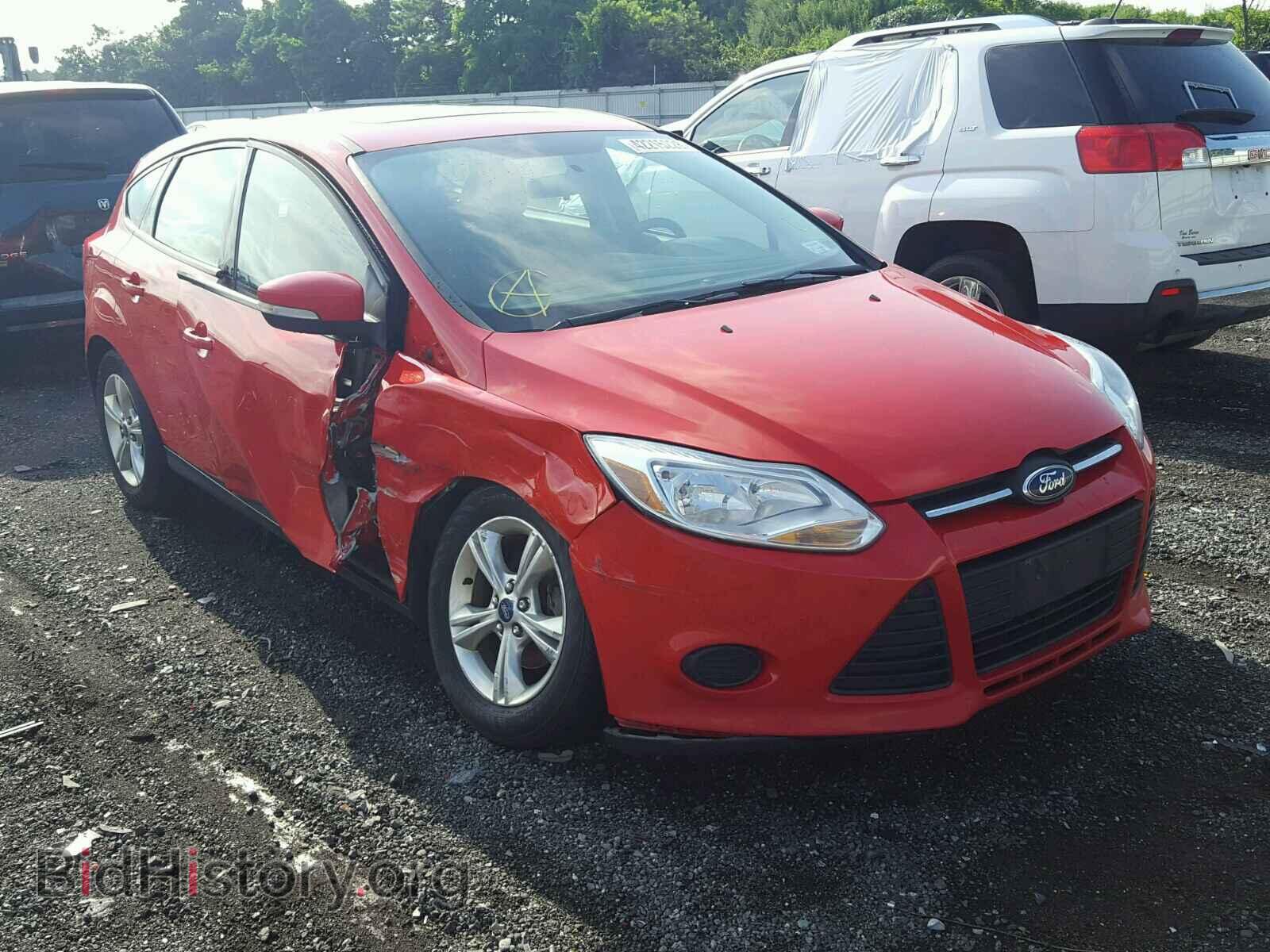 Photo 1FADP3K20DL305036 - FORD FOCUS 2013