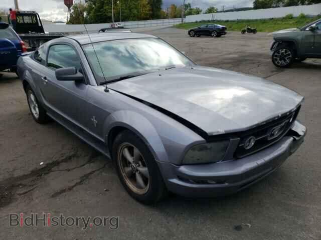 Photo 1ZVHT80N775331351 - FORD MUSTANG 2007