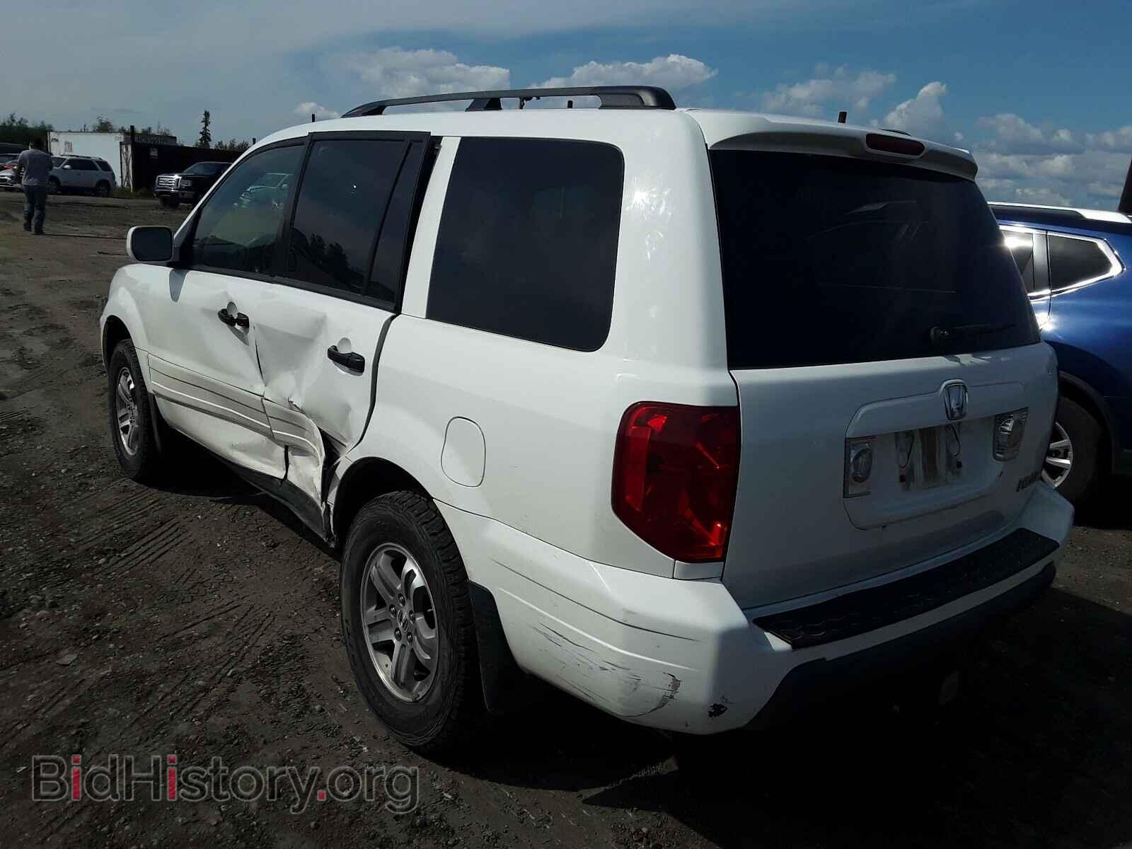 2005 HONDA PILOT - VIN: 2HKYF18475H555911 - Фото 3