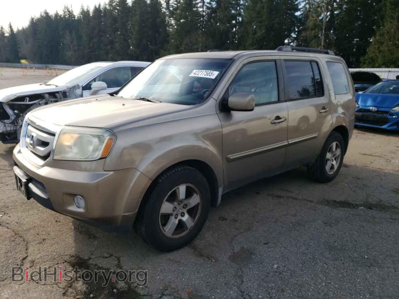 Photo 5FNYF48409B031893 - HONDA PILOT 2009