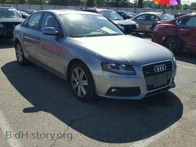Фотография WAUBFAFL0AN067276 - AUDI A4 2010