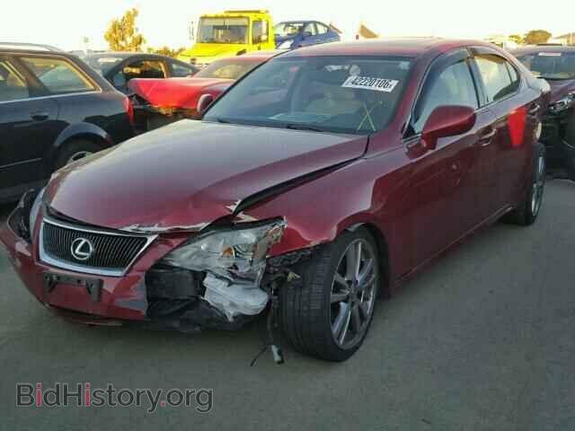 2008 LEXUS IS250 - VIN: JTHBK262285053500 - Фото 2