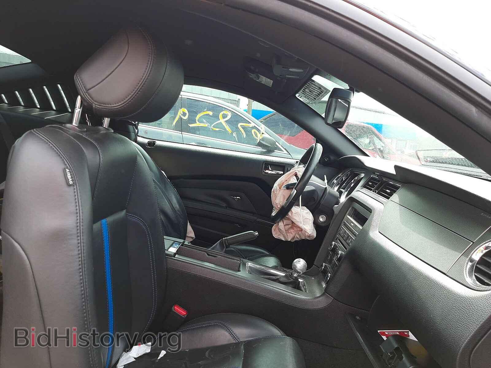 2013 FORD MUSTANG - VIN: 1ZVBP8CFXD5244537 - Фото 5