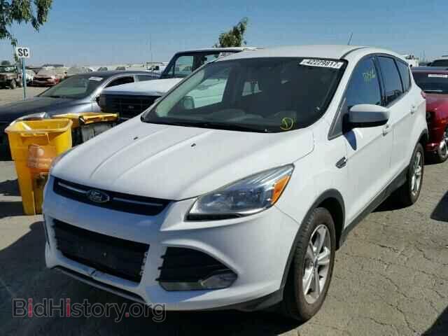 2014 FORD ESCAPE - VIN: 1FMCU0GX1EUB09647 - Photo 2