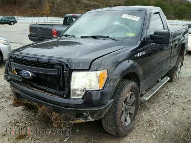 2013 FORD F150 - VIN: 1FTMF1EF8DFD99200 - Фото 2