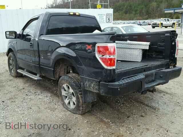 2013 FORD F150 - VIN: 1FTMF1EF8DFD99200 - Фото 3