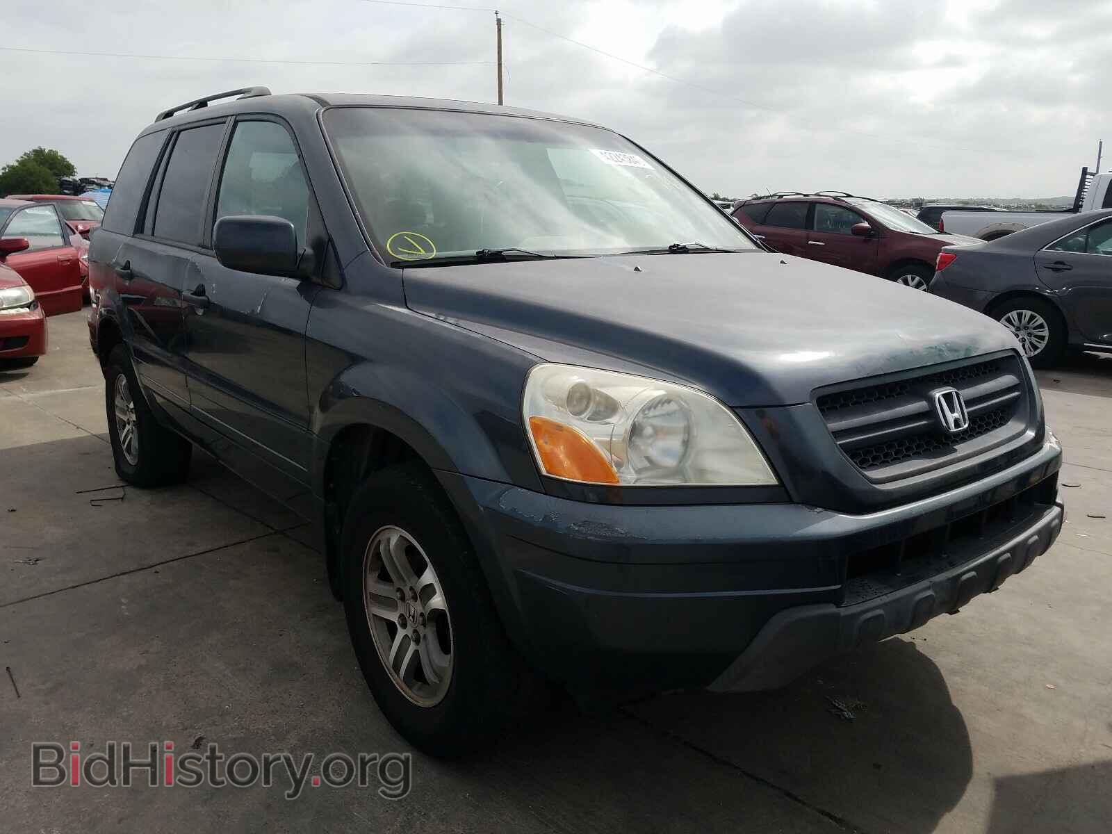 Photo 5FNYF18555B048884 - HONDA PILOT 2005