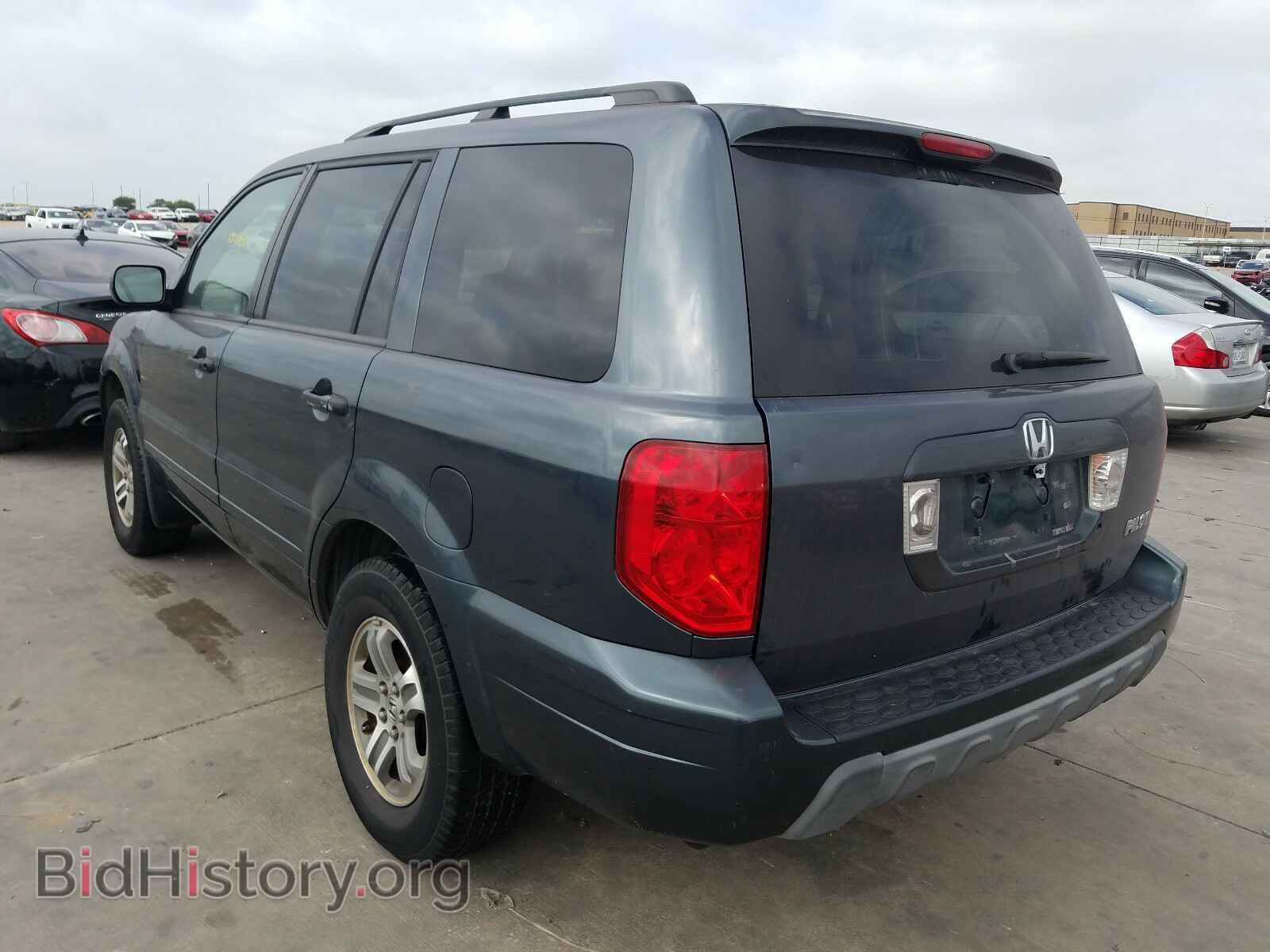 2005 HONDA PILOT - VIN: 5FNYF18555B048884 - Фото 3
