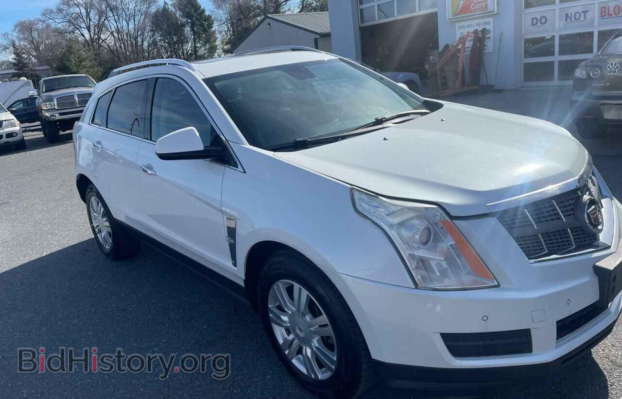 Фотография 3GYFNDE38CS557557 - CADILLAC SRX 2012