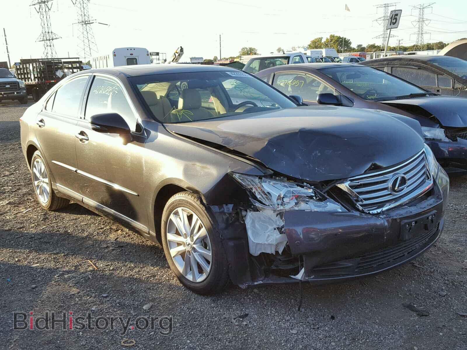 Photo JTHBK1EG7A2402570 - LEXUS ES 350 2010