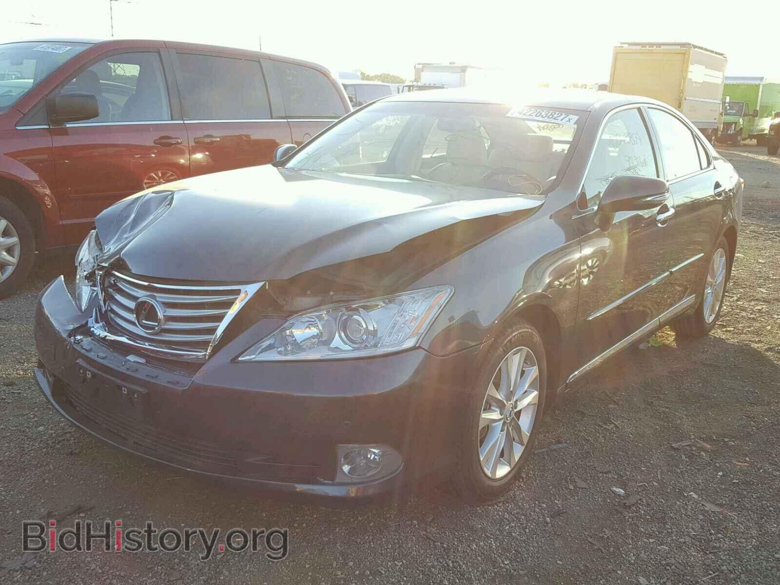 2010 LEXUS ES 350 - VIN: JTHBK1EG7A2402570 - Фото 2