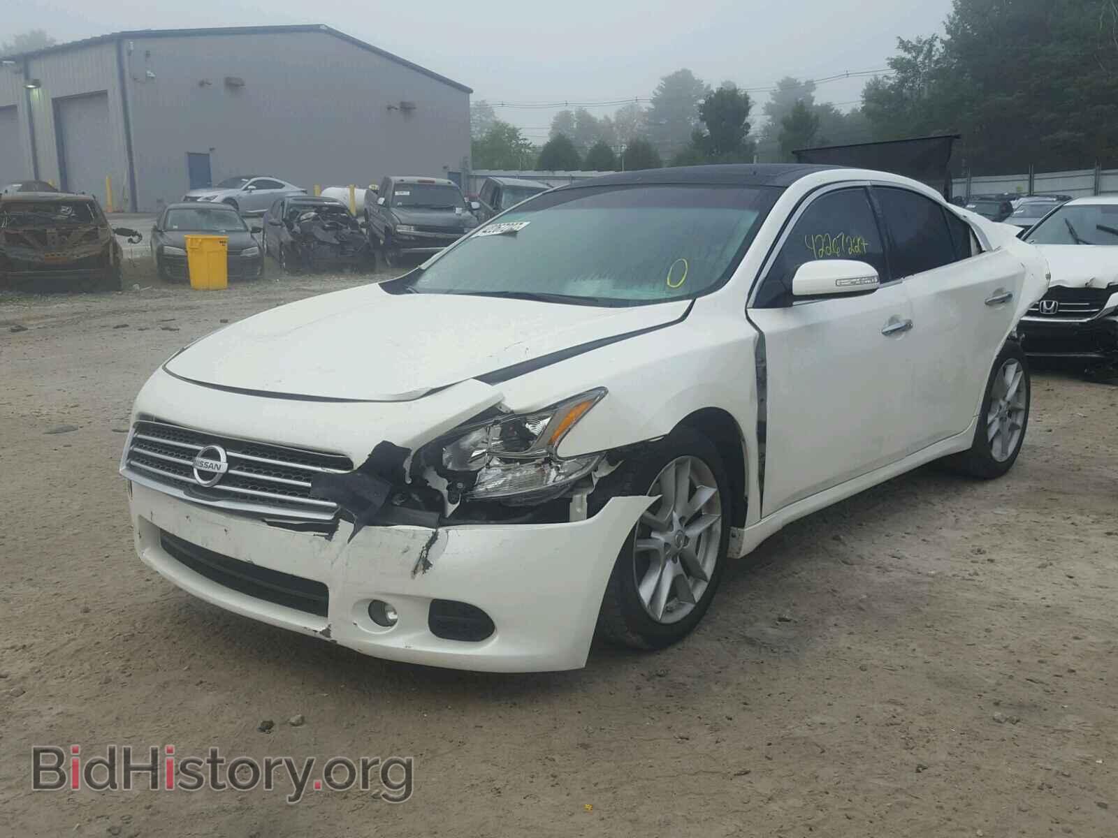 2010 NISSAN MAXIMA - VIN: 1N4AA5AP2AC823464 - Фото 2