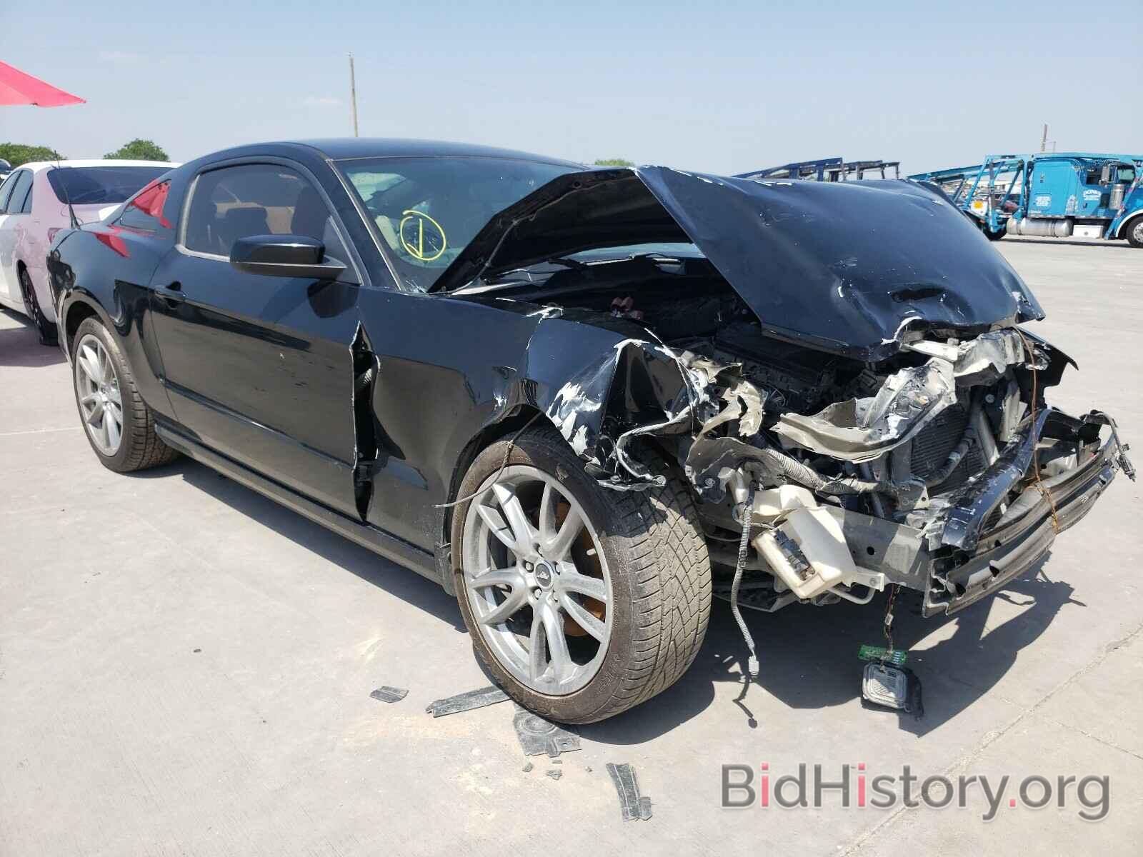 Photo 1ZVBP8AM3E5304693 - FORD MUSTANG 2014