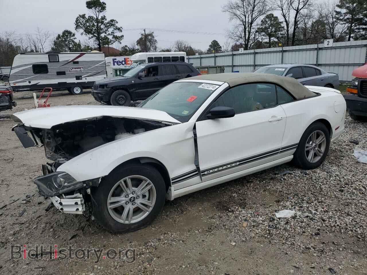 Photo 1ZVBP8EM7D5204525 - FORD ALL Models 2013