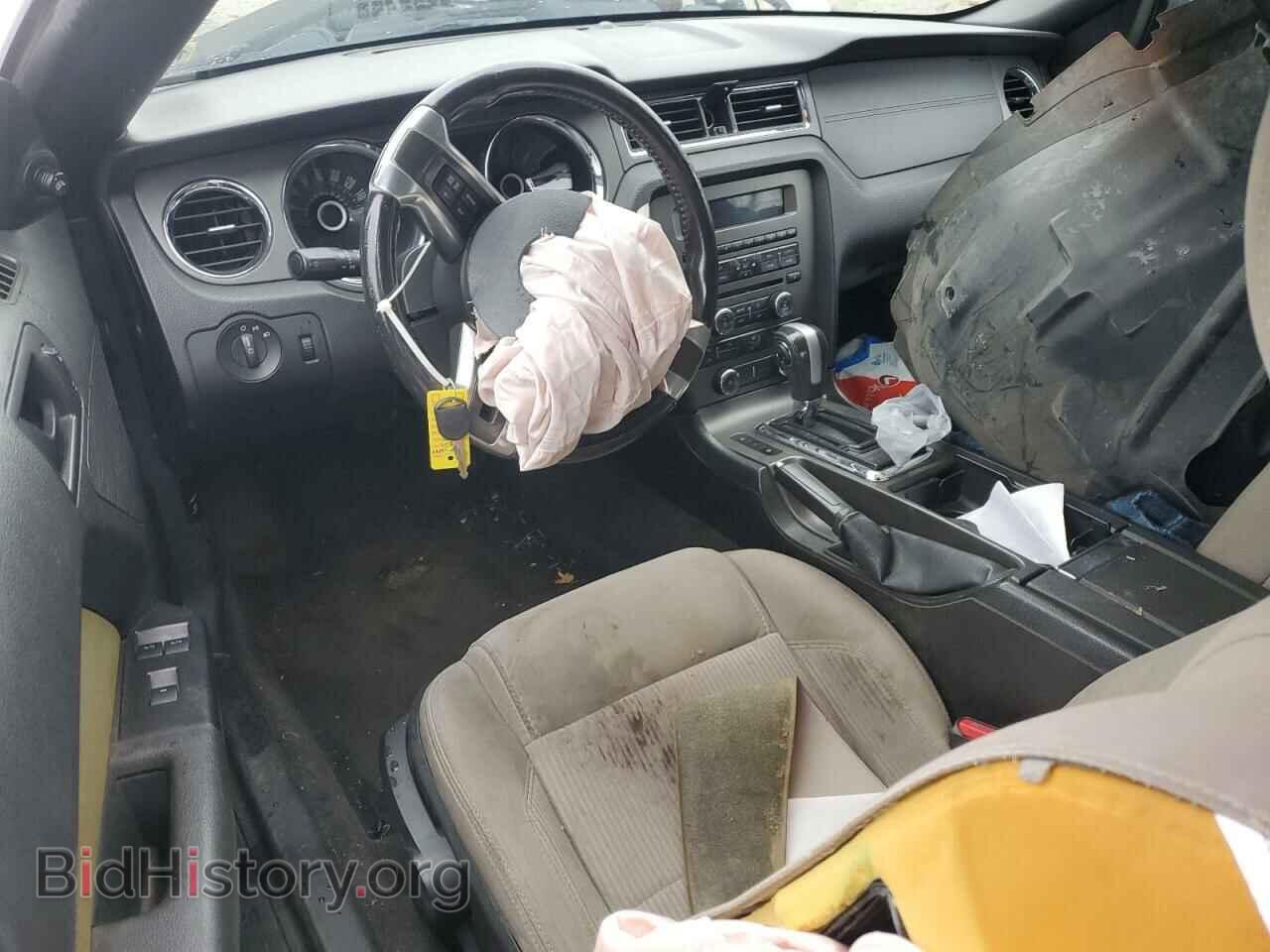 2013 FORD ALL Models - VIN: 1ZVBP8EM7D5204525 - Фото 8