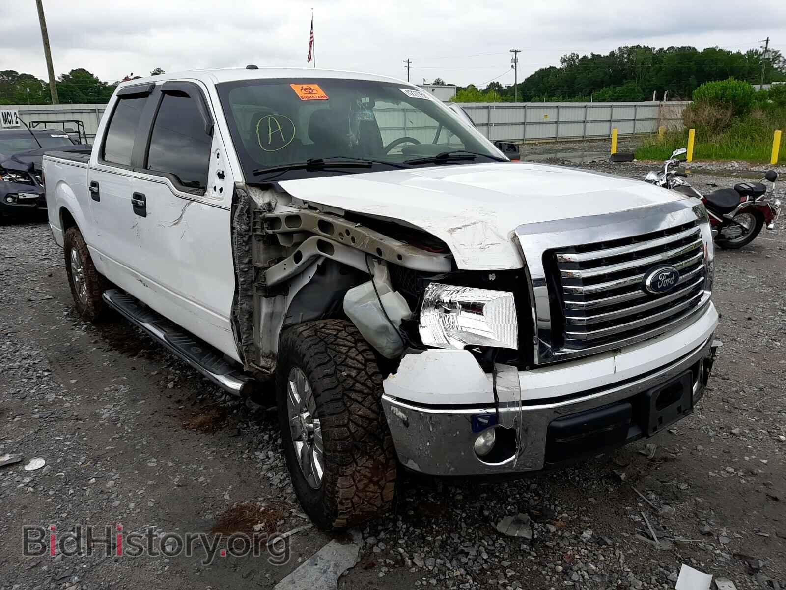 Photo 1FTFW1CF7CFB61963 - FORD F150 2012