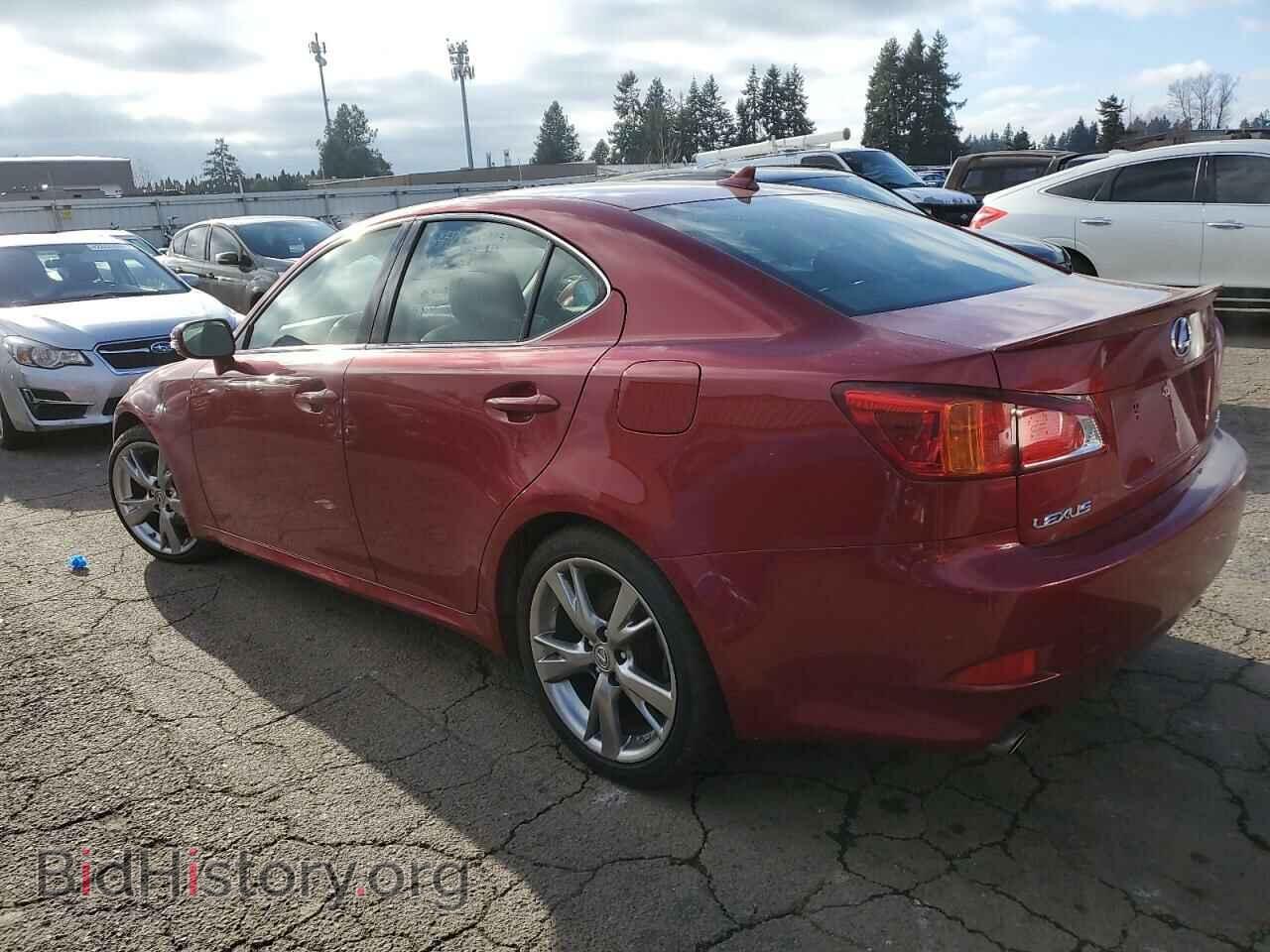 2010 LEXUS IS - VIN: JTHBF5C29A5116317 - Фото 2