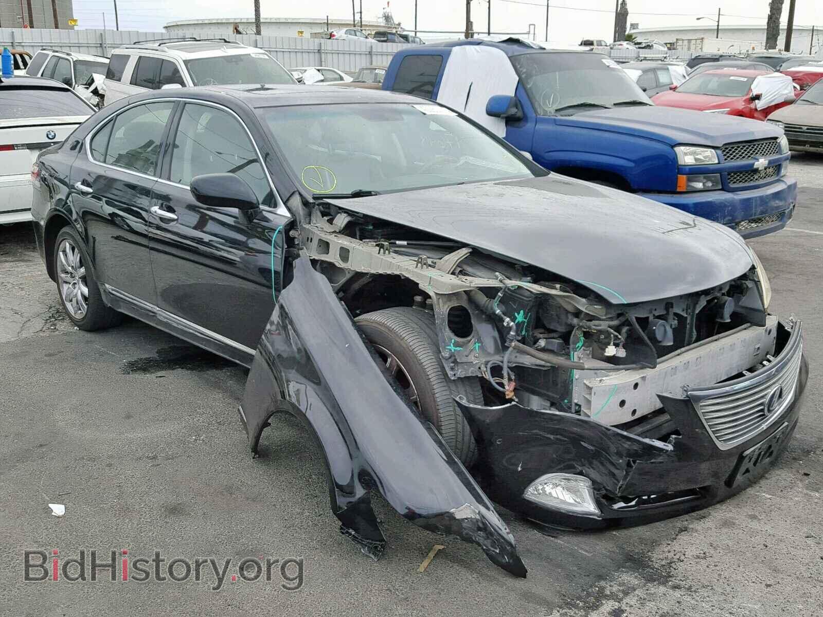 Фотография JTHBL46F685076600 - LEXUS LS460 2008