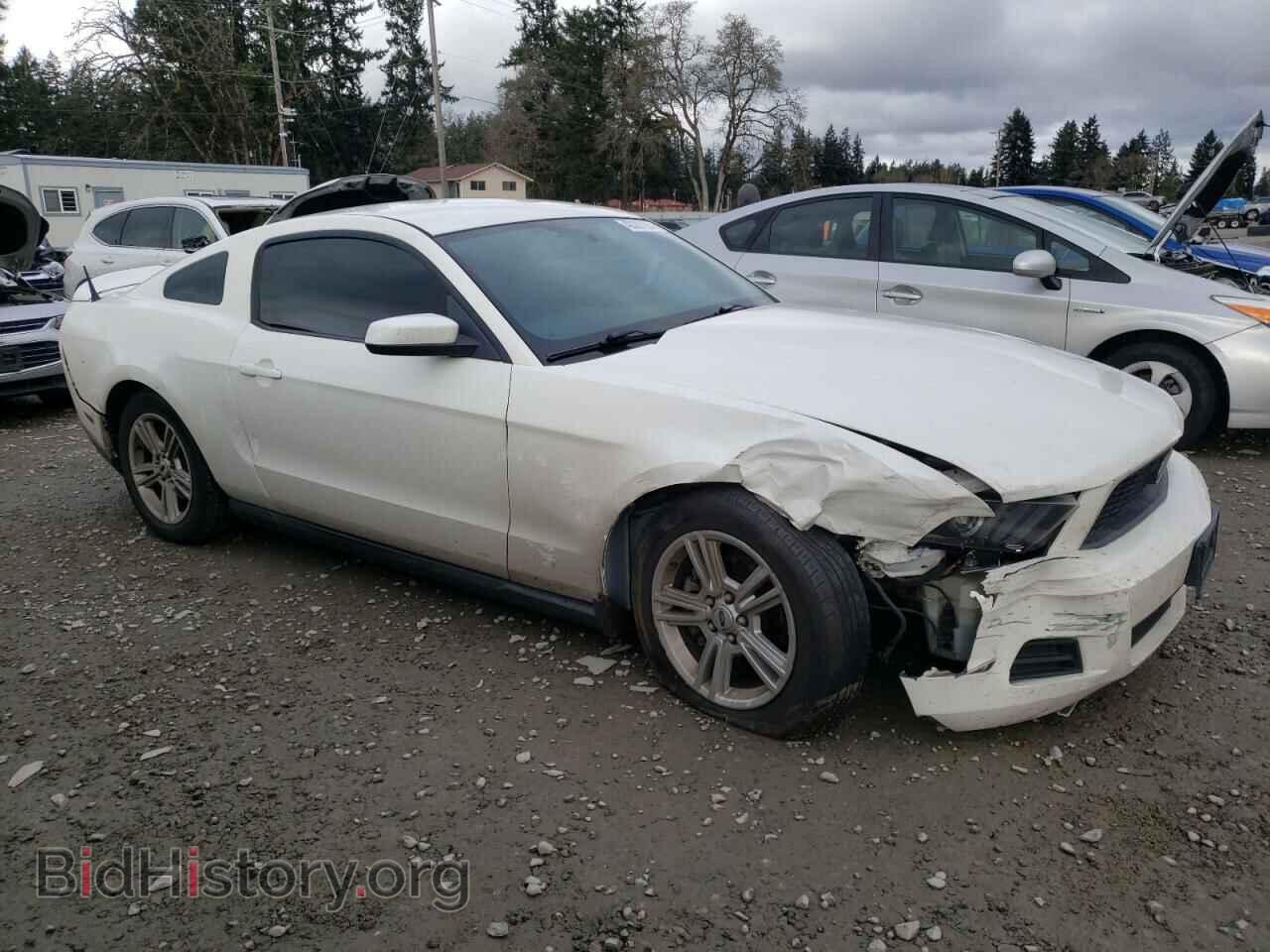 2010 FORD ALL Models - VIN: 1ZVBP8AN5A5146862 - Photo 4