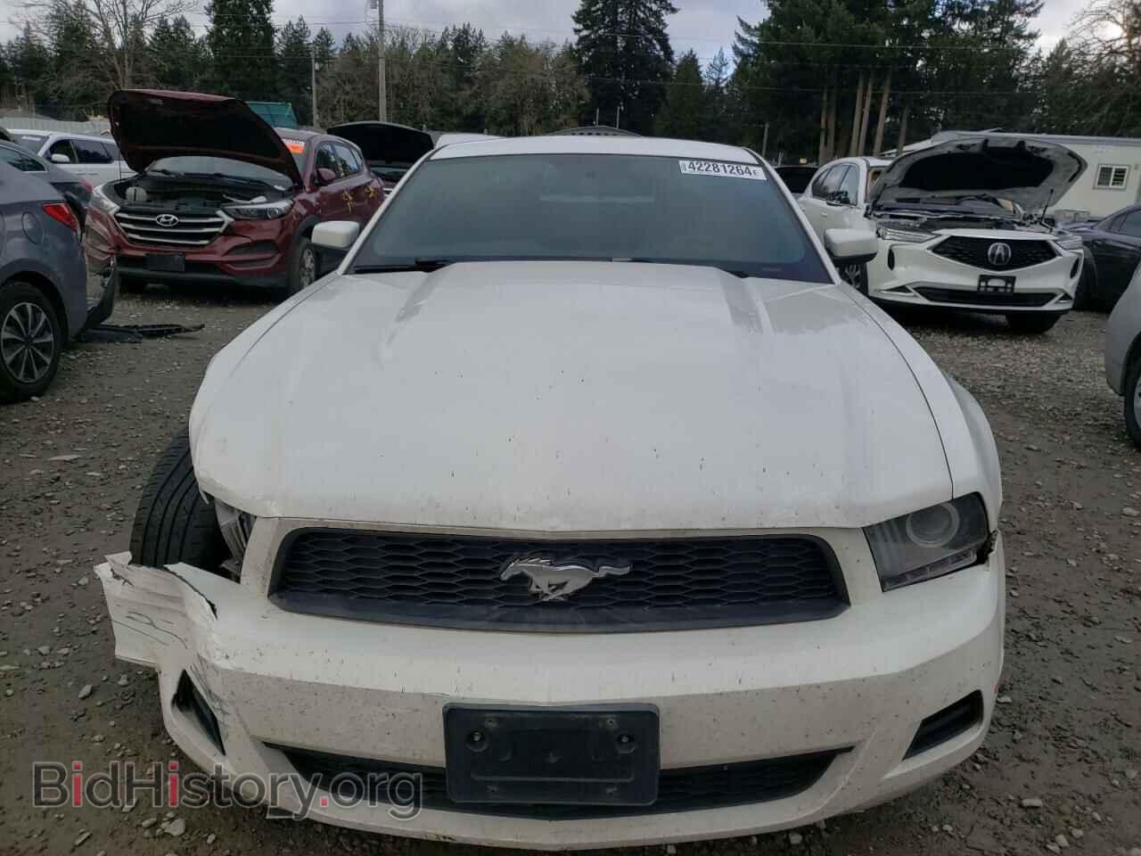2010 FORD ALL Models - VIN: 1ZVBP8AN5A5146862 - Photo 5