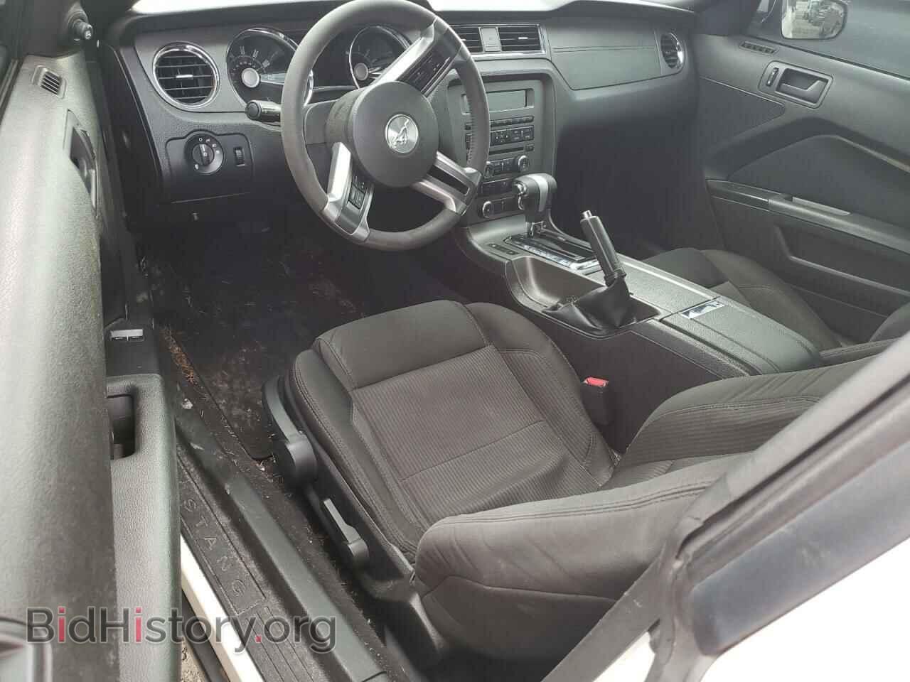 2010 FORD ALL Models - VIN: 1ZVBP8AN5A5146862 - Photo 8