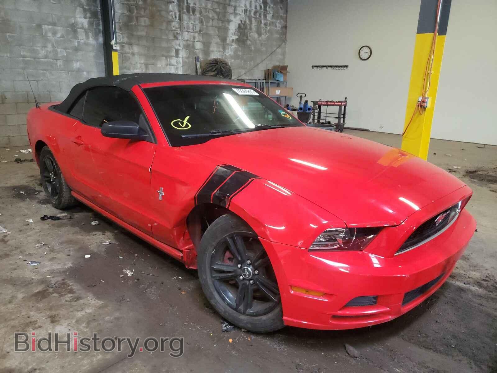 Фотография 1ZVBP8EM4D5272409 - FORD MUSTANG 2013