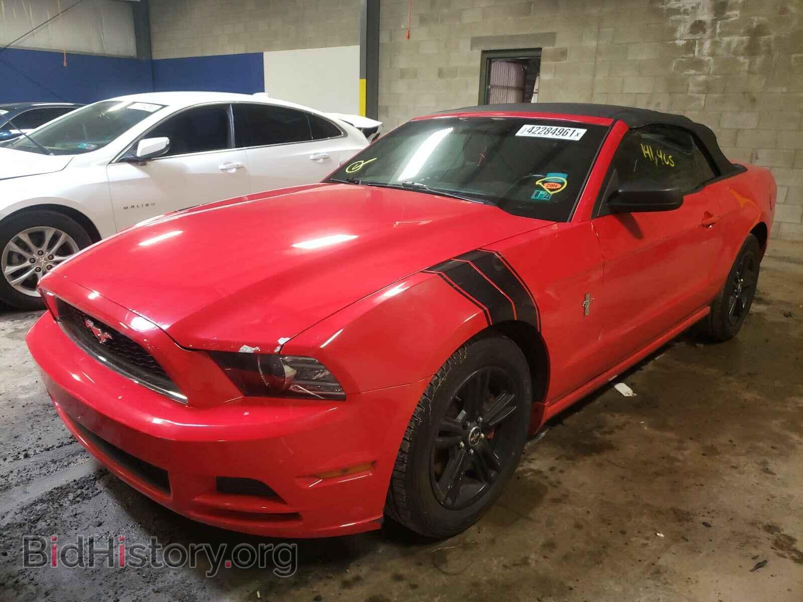2013 FORD MUSTANG - VIN: 1ZVBP8EM4D5272409 - Фото 2