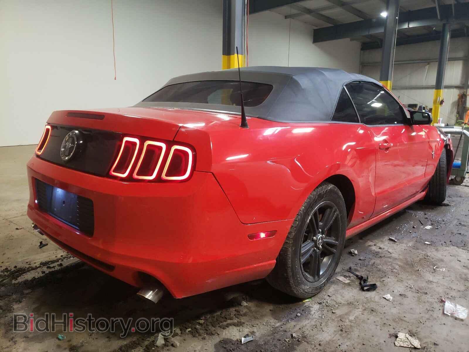 2013 FORD MUSTANG - VIN: 1ZVBP8EM4D5272409 - Фото 4