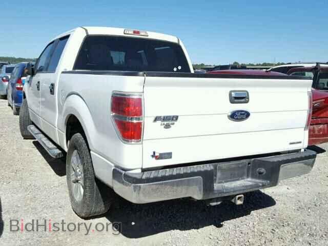2013 FORD F150 - VIN: 1FTEW1CM2DKD06314 - Фото 3