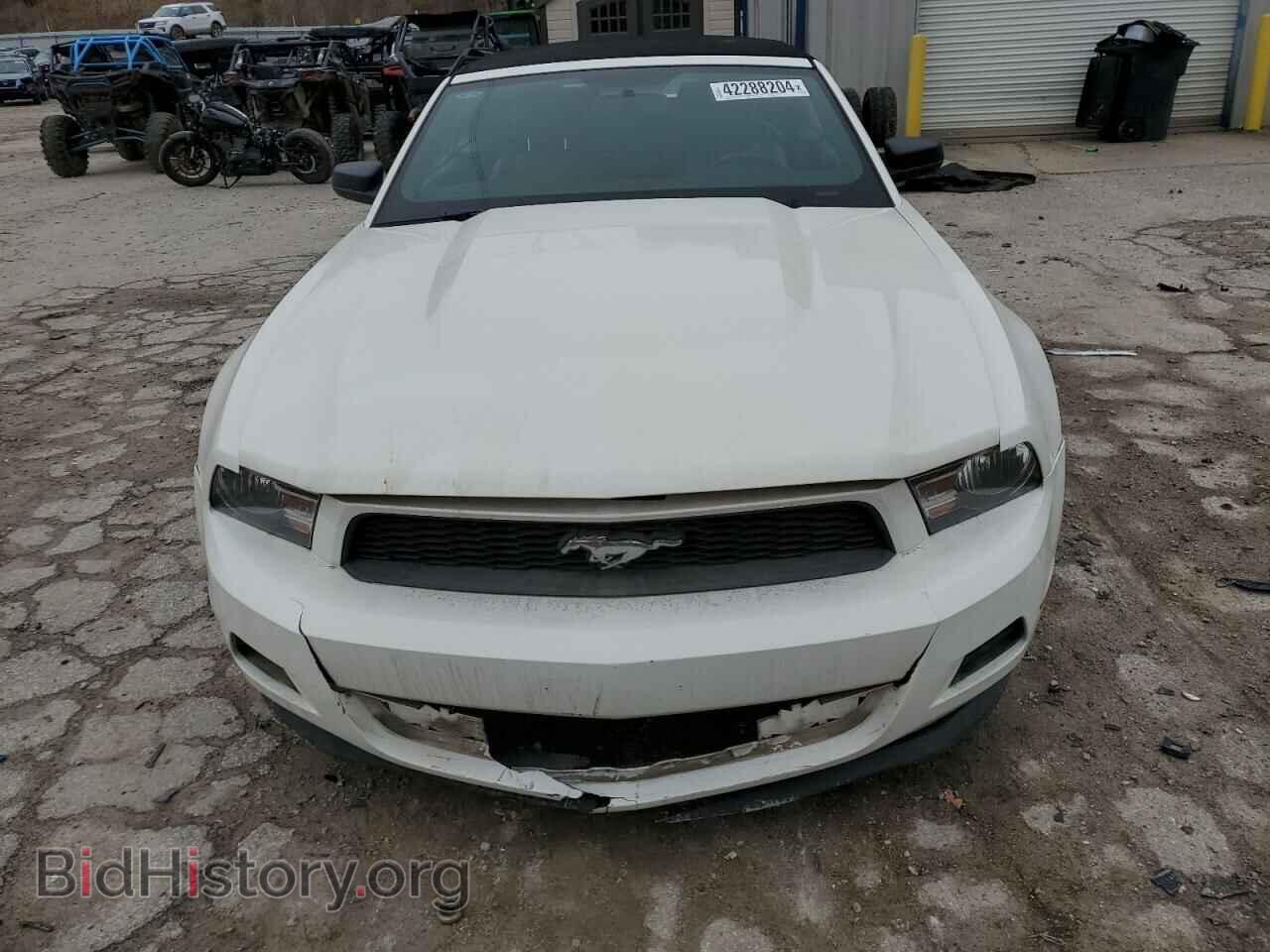 2011 FORD ALL Models - VIN: 1ZVBP8EM0B5148568 - Фото 5