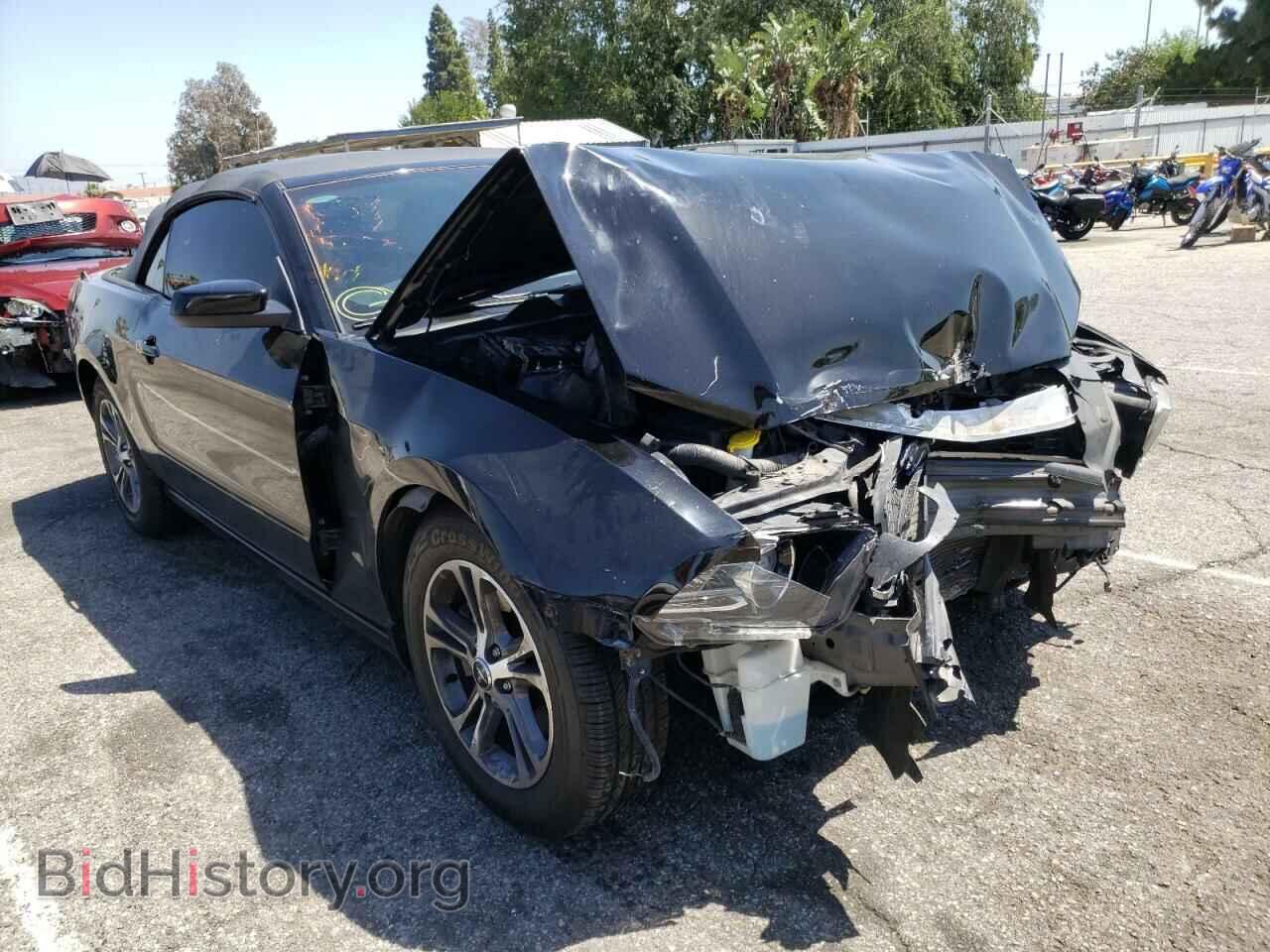 Photo 1ZVBP8EM0E5306833 - FORD MUSTANG 2014
