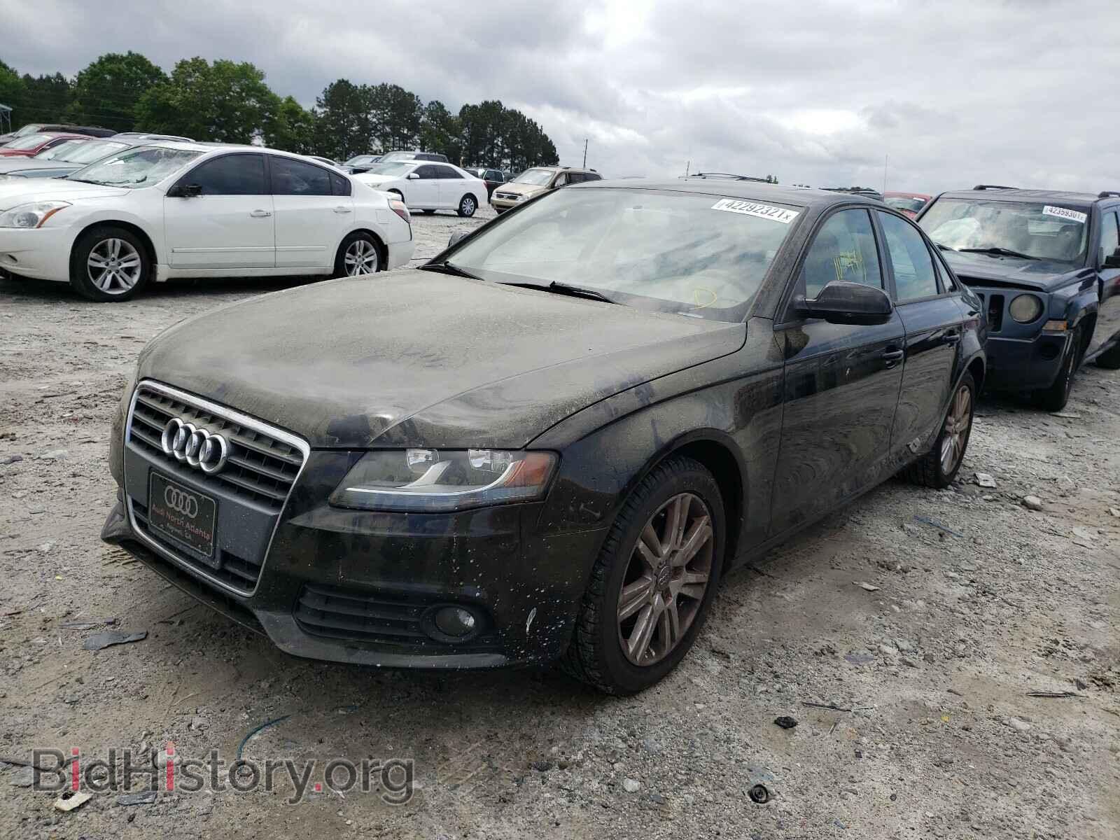 2010 AUDI A4 - VIN: WAUAFAFL5AN019865 - Фото 2