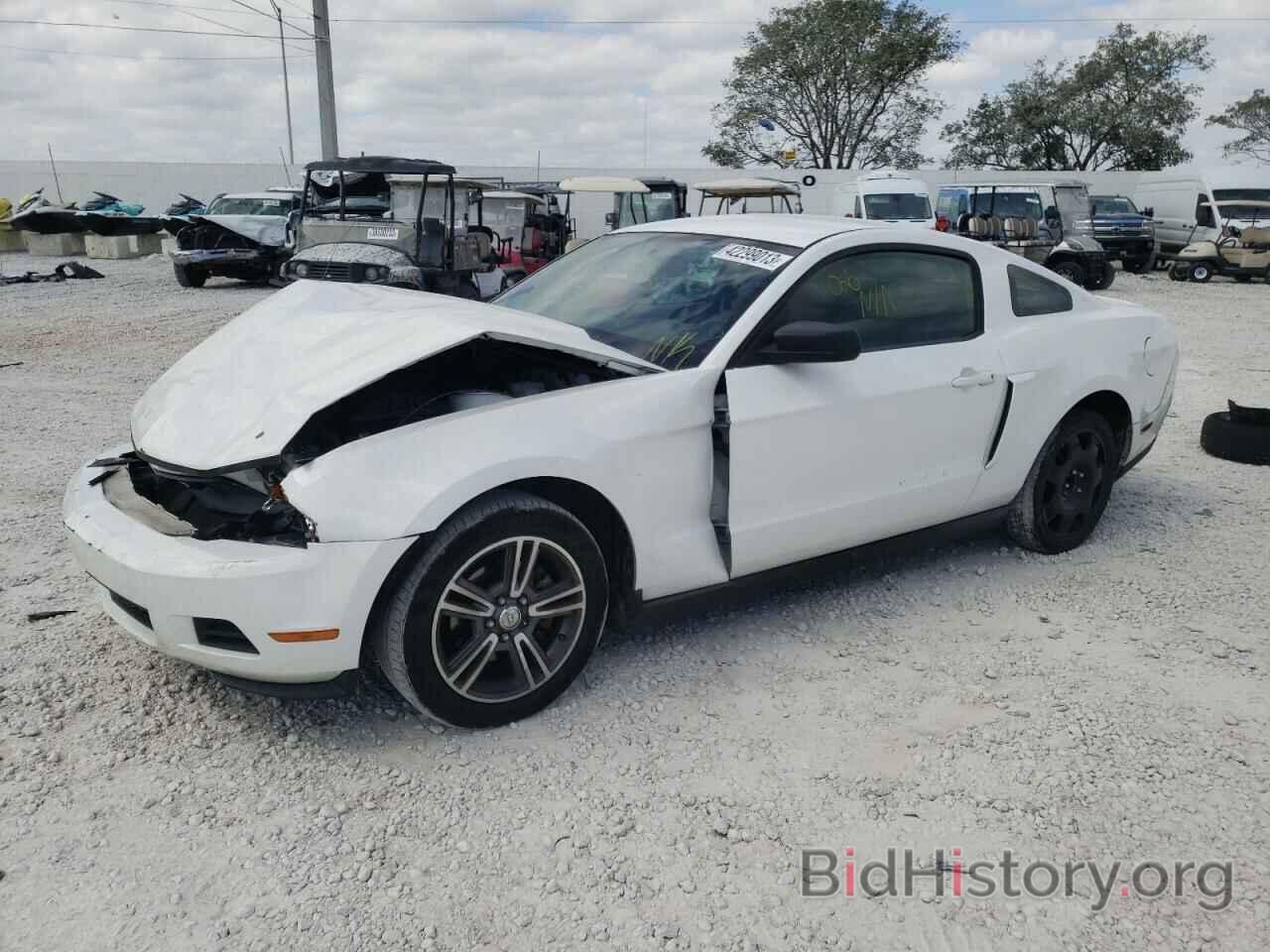Photo 1ZVBP8AN5A5158445 - FORD MUSTANG 2010