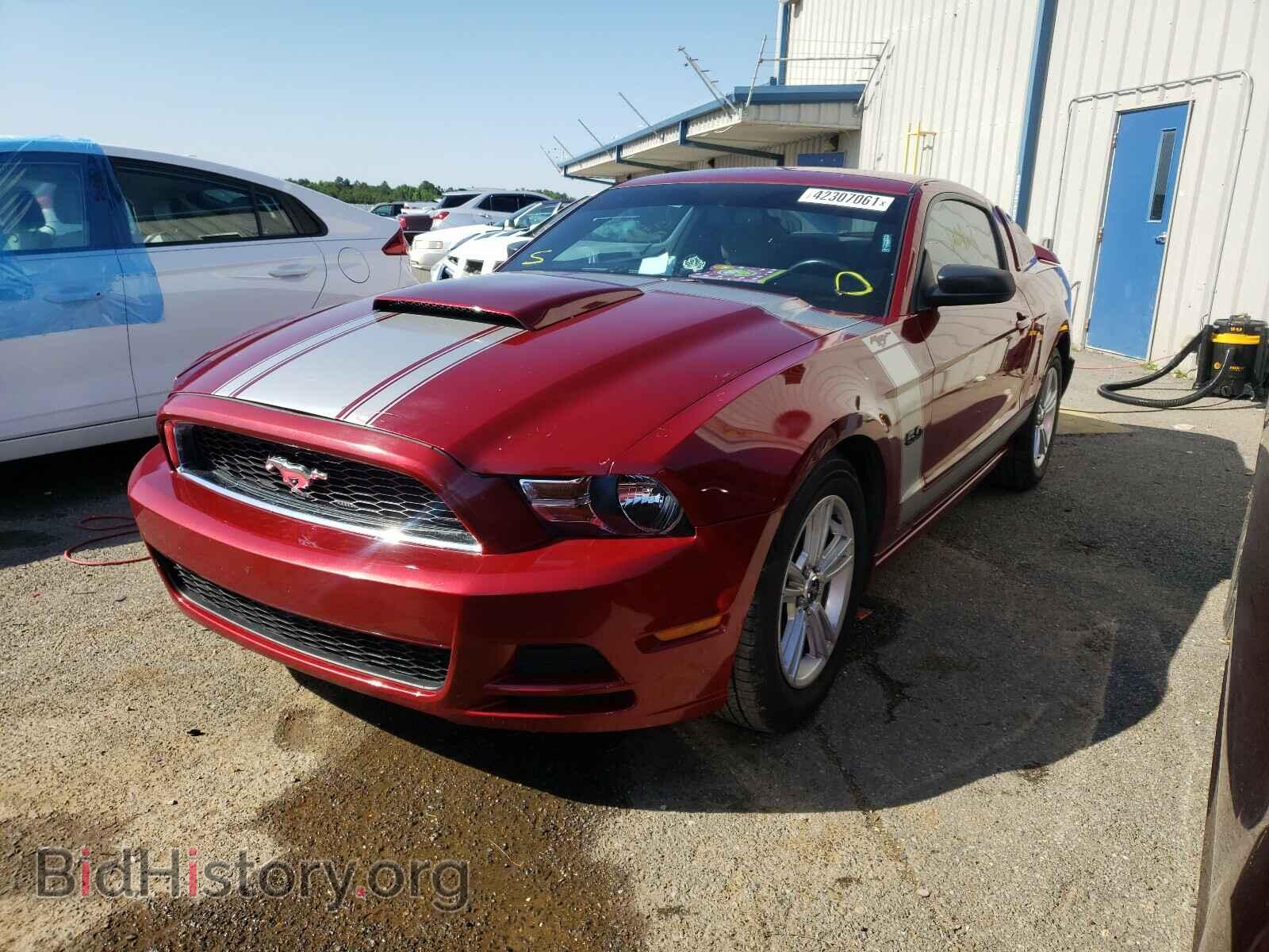 2014 FORD MUSTANG - VIN: 1ZVBP8AM6E5248393 - Фото 2
