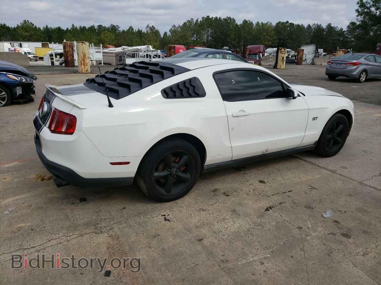 2010 FORD MUSTANG - VIN: 1ZVBP8CH7A5148622 - Фото 3