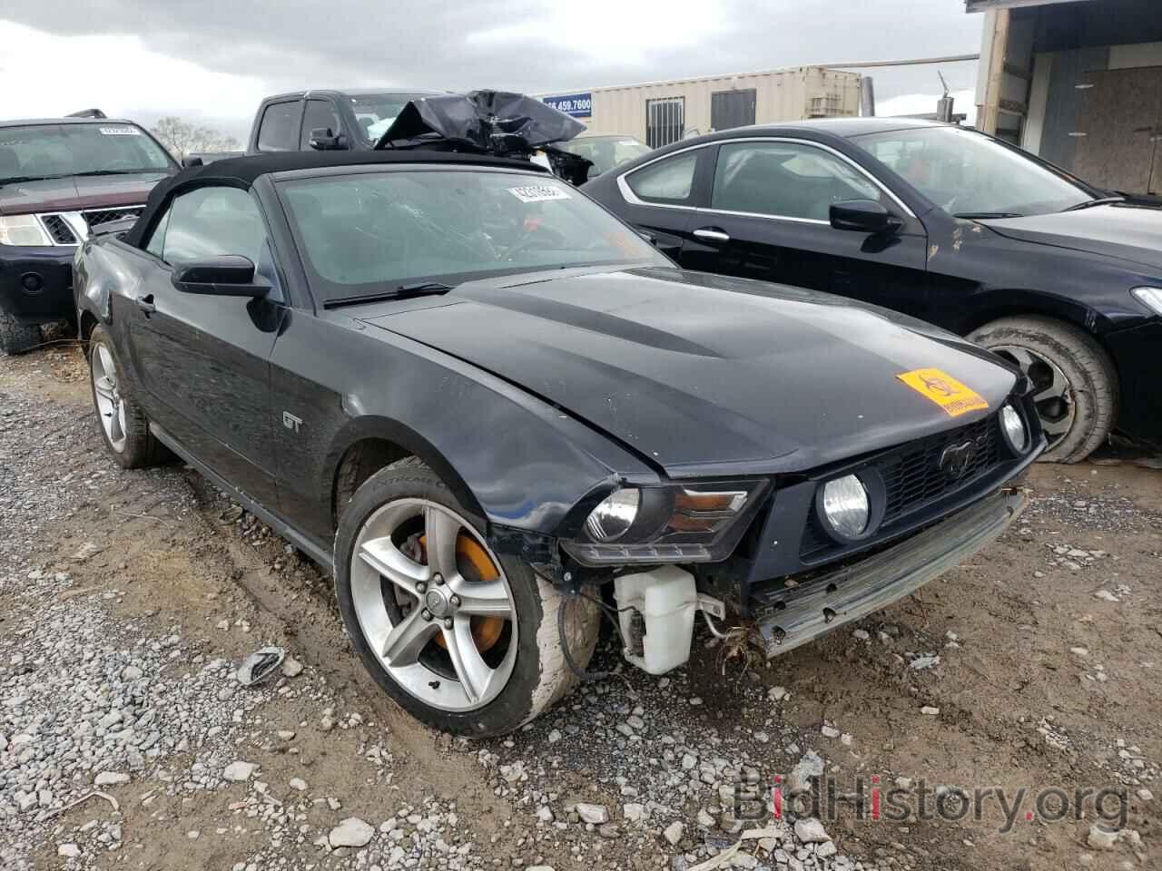 Photo 1ZVBP8FH4A5100183 - FORD MUSTANG 2010