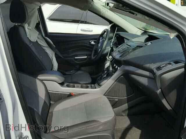 2014 FORD ESCAPE - VIN: 1FMCU0GX0EUD63608 - Photo 5