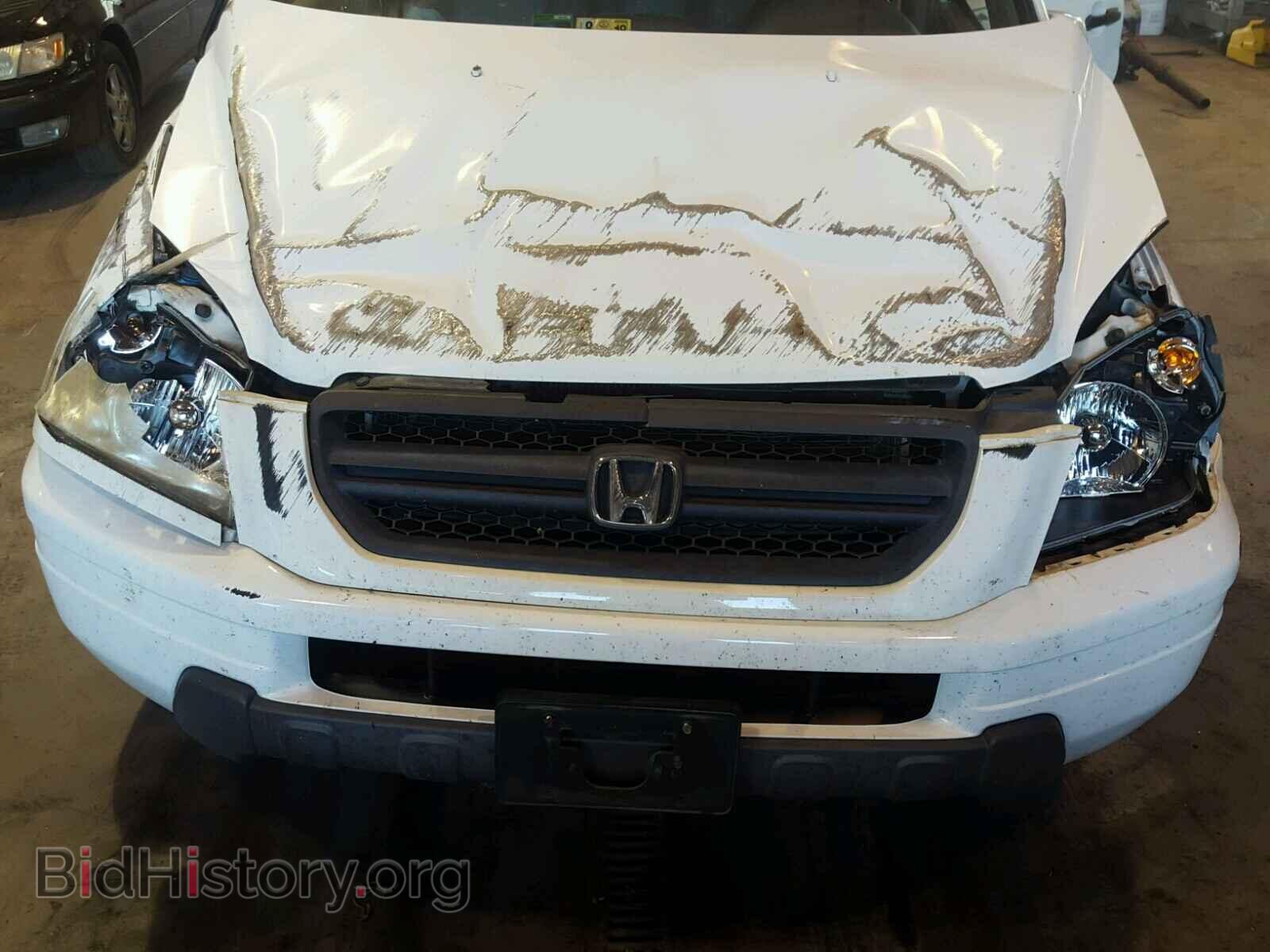 2005 HONDA PILOT - VIN: 5FNYF18625B047345 - Фото 7