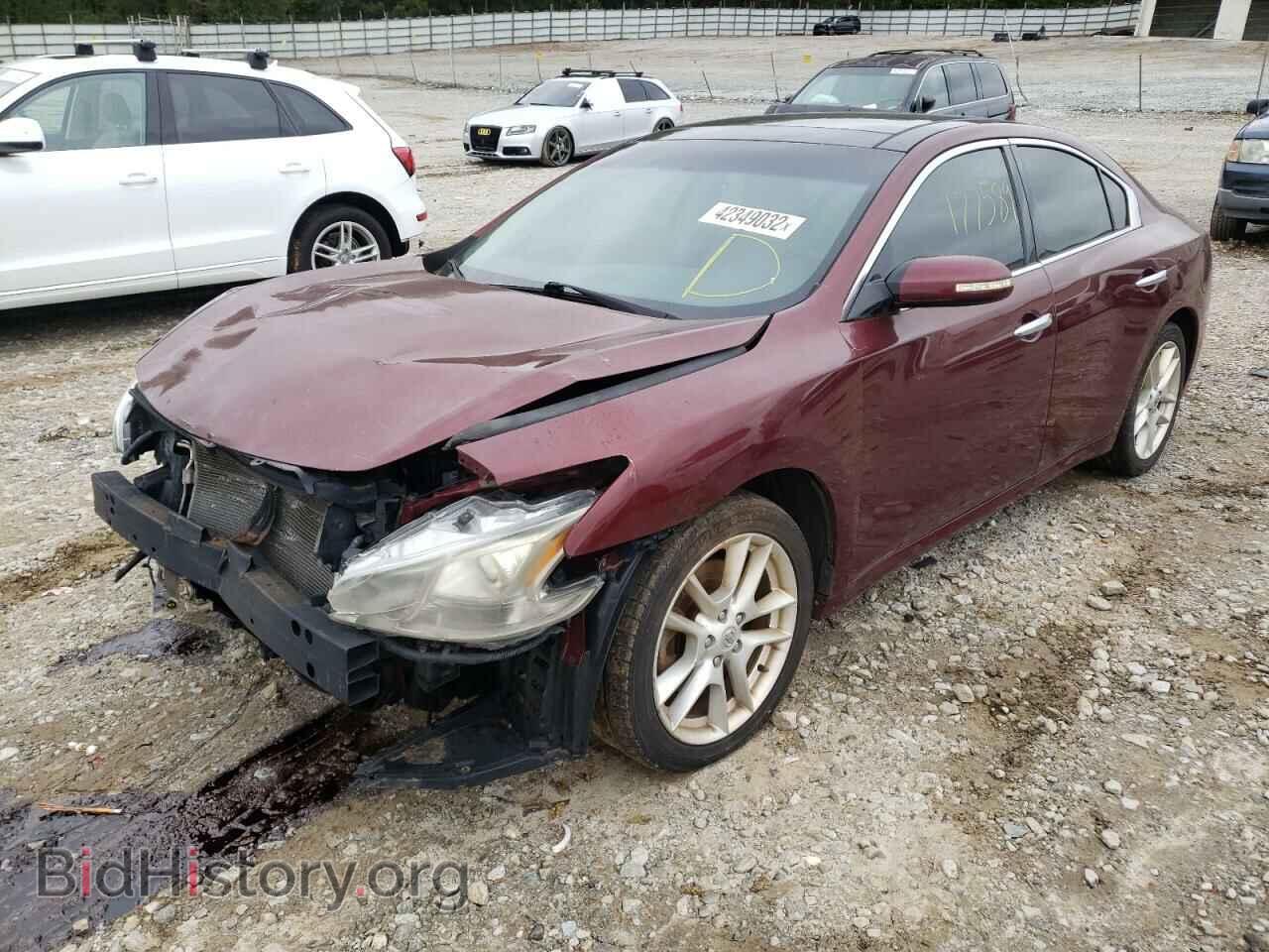 2009 NISSAN MAXIMA - VIN: 1N4AA51E69C814860 - Фото 2