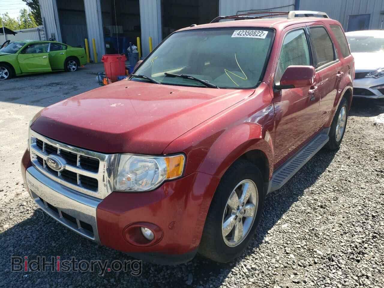 2011 FORD ESCAPE - VIN: 1FMCU0EG7BKB51007 - Фото 2